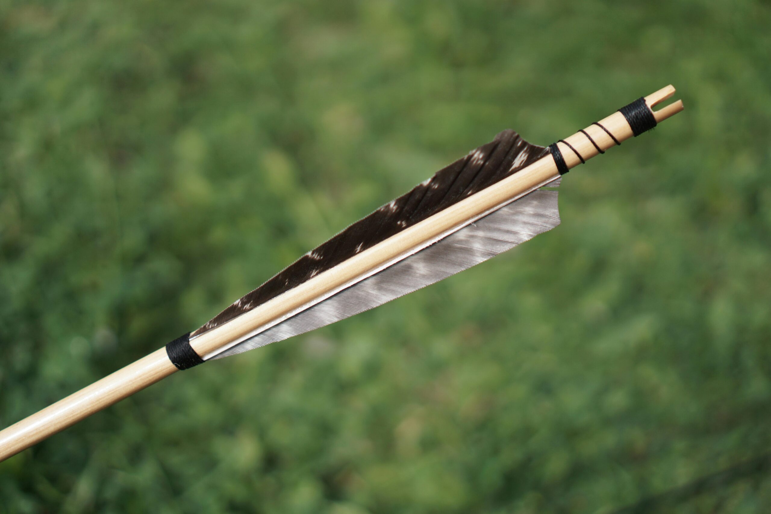 University of Toronto engineers created a new non‑stick coating using “nanoscale fletching” inspired by arrow feather design. It repels oil and water as well as traditional coatings but uses minimal short‑chain PFAS to reduce health and environmental risks. A safer kitchen future.