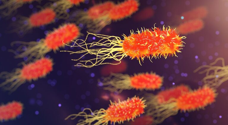 Researchers at the University of California San Diego have discovered a weakness in antibiotic-resistant bacteria, presenting a possible drug-free approach to tackle the rising health concern projected to result in nearly 2 million deaths each year by 2050.
