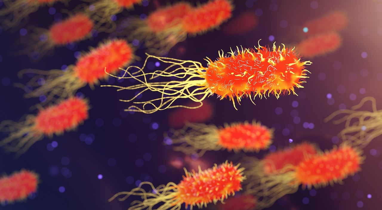 Researchers at the University of California San Diego have discovered a weakness in antibiotic-resistant bacteria, presenting a possible drug-free approach to tackle the rising health concern projected to result in nearly 2 million deaths each year by 2050.