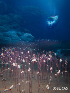 A groundbreaking deep-sea expedition discovered vibrant animal communities living nearly 10 km deep—without sunlight. Fueled by chemosynthesis, these ecosystems prove life’s resilience and adaptability even in the harshest conditions.