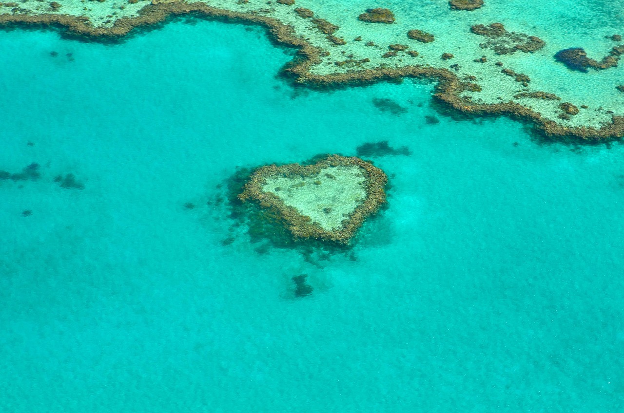 In his soon-to-be-released film Oceans, Sir David Attenborough discusses the role humans play in protecting the world's many bodies of water. Attenborough, who celebrates his 99th birthday on the 8th, has acknowledged this film as one of the most impactful of his career.
