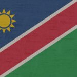 After securing over 57% of the votes in a landmark victory, former  freedom fighter and an advocate for women's rights, Netumbo Nandi-Ndaitwah, has made history as Namibia's first female president.