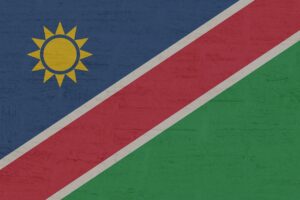 After securing over 57% of the votes in a landmark victory, former  freedom fighter and an advocate for women's rights, Netumbo Nandi-Ndaitwah, has made history as Namibia's first female president.
