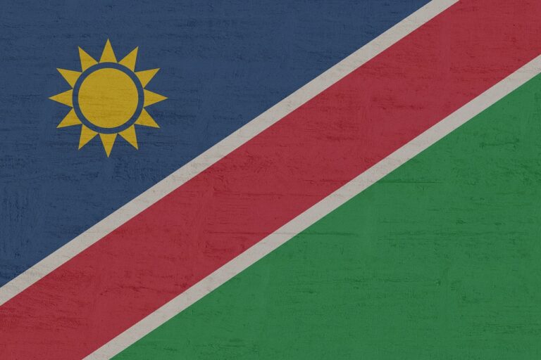 After securing over 57% of the votes in a landmark victory, former  freedom fighter and an advocate for women's rights, Netumbo Nandi-Ndaitwah, has made history as Namibia's first female president.