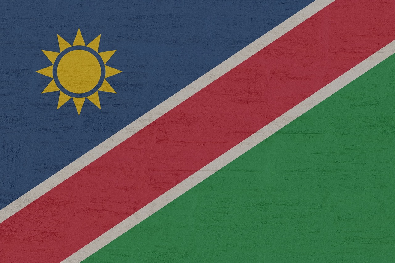 After securing over 57% of the votes in a landmark victory, former freedom fighter and an advocate for women's rights, Netumbo Nandi-Ndaitwah, has made history as Namibia's first female president.