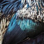 At Paris Fashion Week SS26, Stella McCartney introduced Fevvers, a plant-based, cruelty-free material by UK startup Fevvers. Used in three couture looks in soft pastels, naturally dyed and hand-stitched, it gives dresses feather-like drama without harming birds.