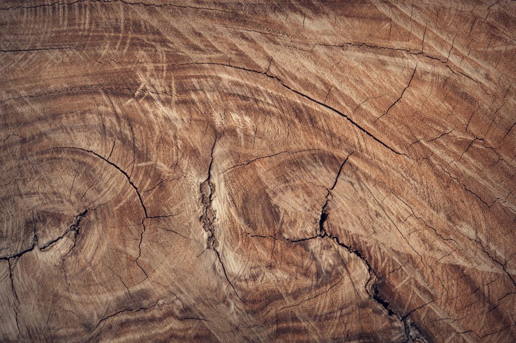 InventWood’s new Superwood is a cutting-edge engineered wood that’s up to 50% stronger than steel while being six times lighter. It’s fire‑resistant, eco-friendly, and scalable for mass production—poised to transform construction and reduce carbon impact at scale.