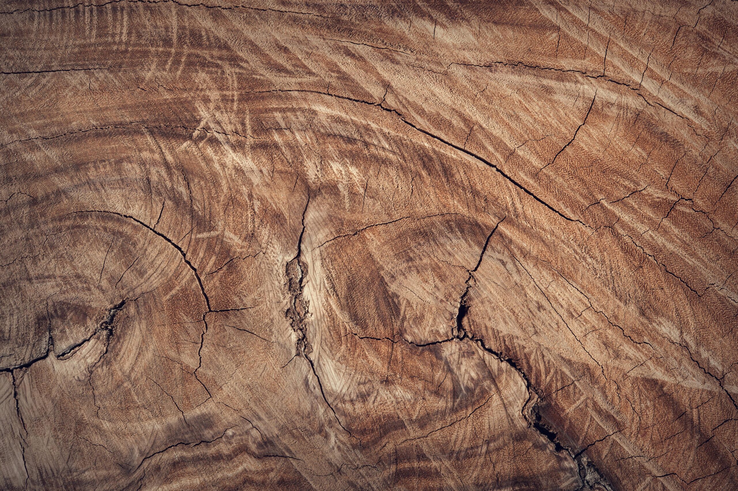 InventWood’s new Superwood is a cutting-edge engineered wood that’s up to 50% stronger than steel while being six times lighter. It’s fire‑resistant, eco-friendly, and scalable for mass production—poised to transform construction and reduce carbon impact at scale.