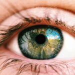 New eye drops show promise as a safe, non-invasive alternative to glasses or surgery for people with longsightedness. Early studies suggest they can improve vision by reshaping how light enters the eye—offering hope for millions worldwide seeking simple eye care solutions.
