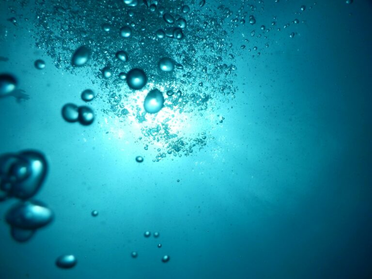 A new “bubble barrier” designed in Derby lifts hidden plastic from riverbeds to the surface for collection, protecting marine life and stopping pollution before it reaches the ocean. If successful, 42 vessels could soon clean rivers across Europe—and make the UK a global leader.