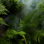 In July, fire damage in Brazil's Amazon rainforest decreased by 65% year-over-year, with 1the smallest monthly total burned since 2019. Improved rainfall and increased monitoring contributed to this decline, as President Lula aims to end Amazon deforestation by 2030.