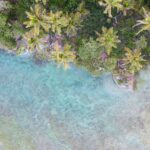 With over 100 nations involved, the UN's top court has begun historic hearings to define global responsibilities in combating climate change and establish legal protections for vulnerable countries.