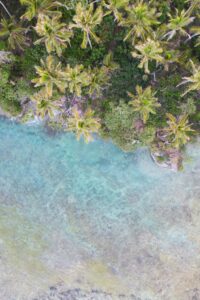 With over 100 nations involved, the UN's top court has begun historic hearings to define global responsibilities in combating climate change and establish legal protections for vulnerable countries.