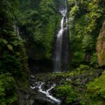 The Kichwa tribe of Puerto Franco celebrates a pivotal court victory in reclaiming ancestral rainforests from the Cordillera Azul National Park, alandmark case that challenges carbon credit profits and reinforces Indigenous land rights.