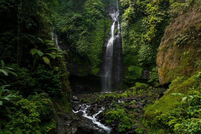 The Kichwa tribe of Puerto Franco celebrates a pivotal court victory in reclaiming ancestral rainforests from the Cordillera Azul National Park, alandmark case that challenges carbon credit profits and reinforces Indigenous land rights.