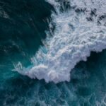 The High Seas Treaty has officially entered into force, marking a historic step to safeguard marine biodiversity in international waters, which cover nearly two-thirds of the ocean. The ratification launches a 120-day countdown to global cooperation in conservation and enforcement.