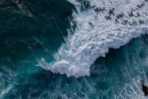 The High Seas Treaty has officially entered into force, marking a historic step to safeguard marine biodiversity in international waters, which cover nearly two-thirds of the ocean. The ratification launches a 120-day countdown to global cooperation in conservation and enforcement.