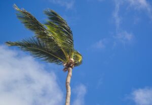 For the first time, wind and solar together provide more than one-third of Brazil’s electricity. This clean energy milestone shows how fast renewables are rising, cutting emissions while powering millions of homes with sustainable and affordable energy.