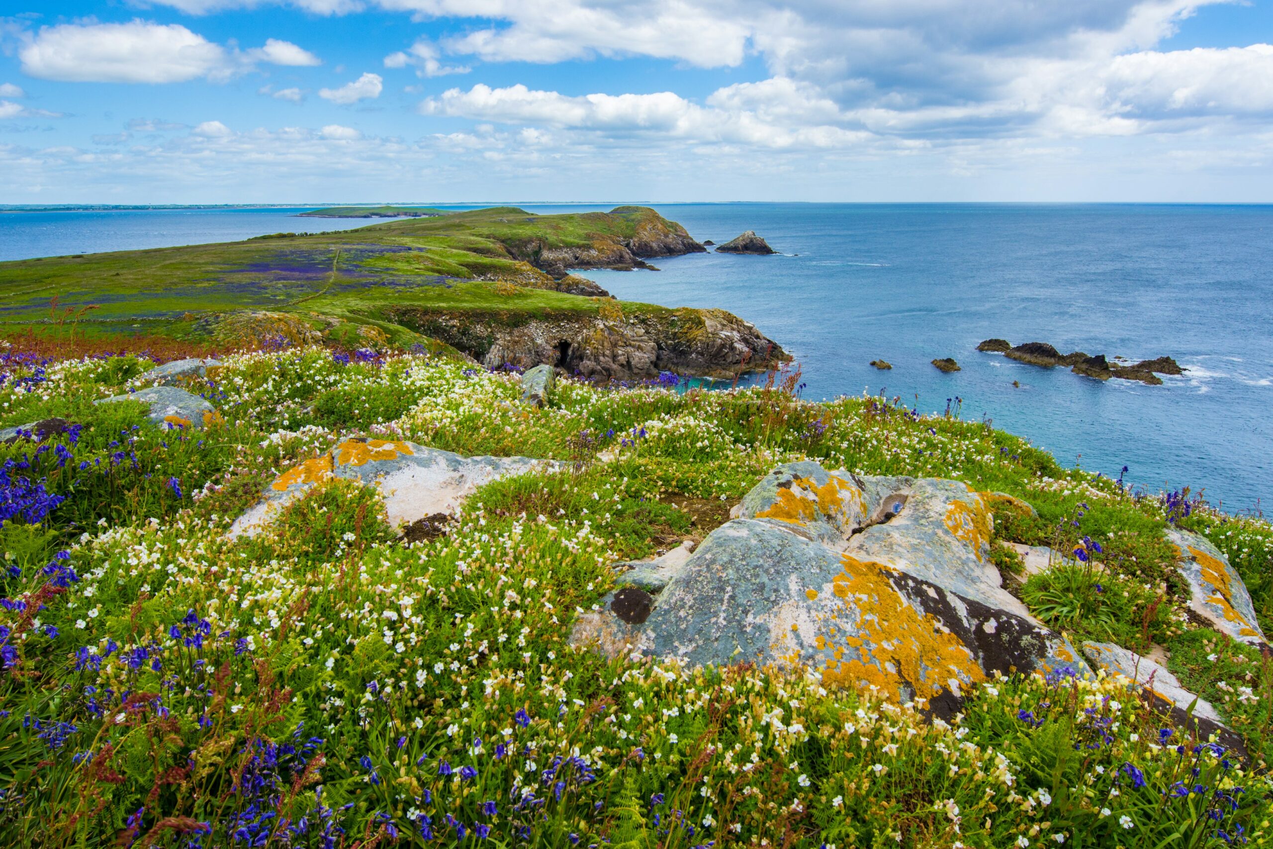 Ireland closed its last coal-fired plant at Moneypoint in June—six months ahead of schedule—making it Europe’s sixth coal-free country. The 915 MW station will stay on standby with oil backup until 2029. It’s a major victory for cleaner air and energy transition.