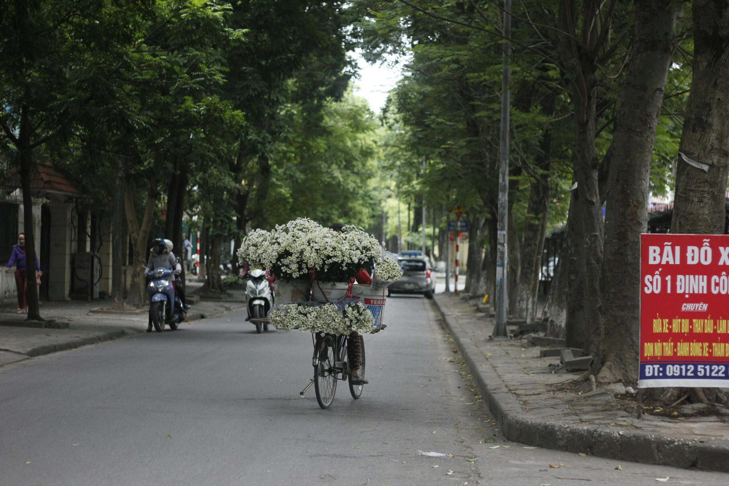 In a major human rights step, Vietnam has removed the death penalty for crimes like bribery, drug offences, and crimes against the state. The reform reflects growing global momentum toward reducing capital punishment and fostering more humane justice systems.