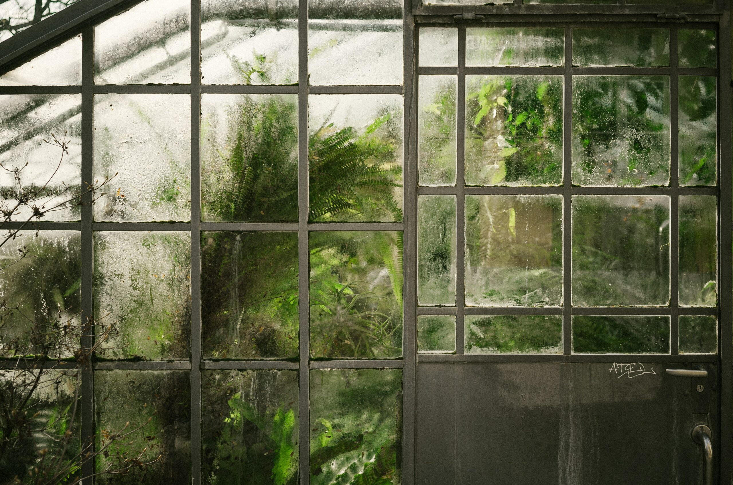 Scientists in the UK have developed a light-optimizing greenhouse spray that converts sunlight into red light and boosts crop yields while extending growing seasons, and could transform food production in less sunny regions, reducing reliance on artificial lighting.
