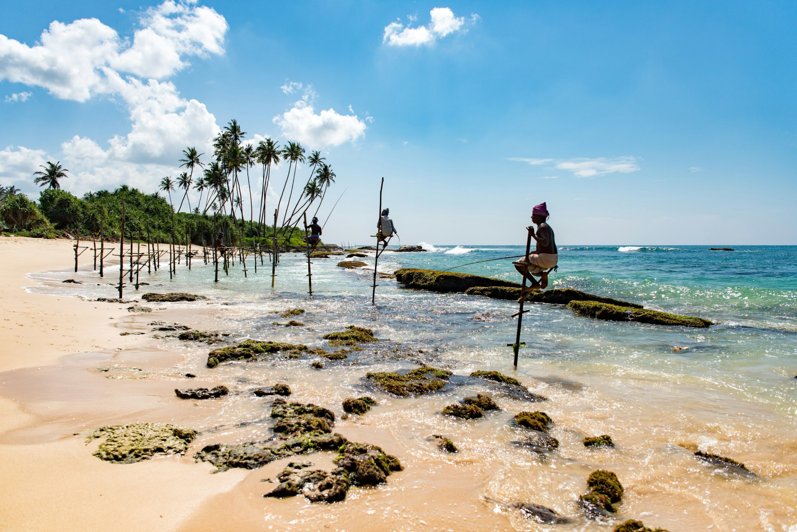 Sri Lanka has officially granted protected status to the rare villus wetlands, a unique floodplain ecosystem vital for endangered wildlife. This move marks a powerful step toward preserving biodiversity and honoring the deep cultural value of these natural habitats.