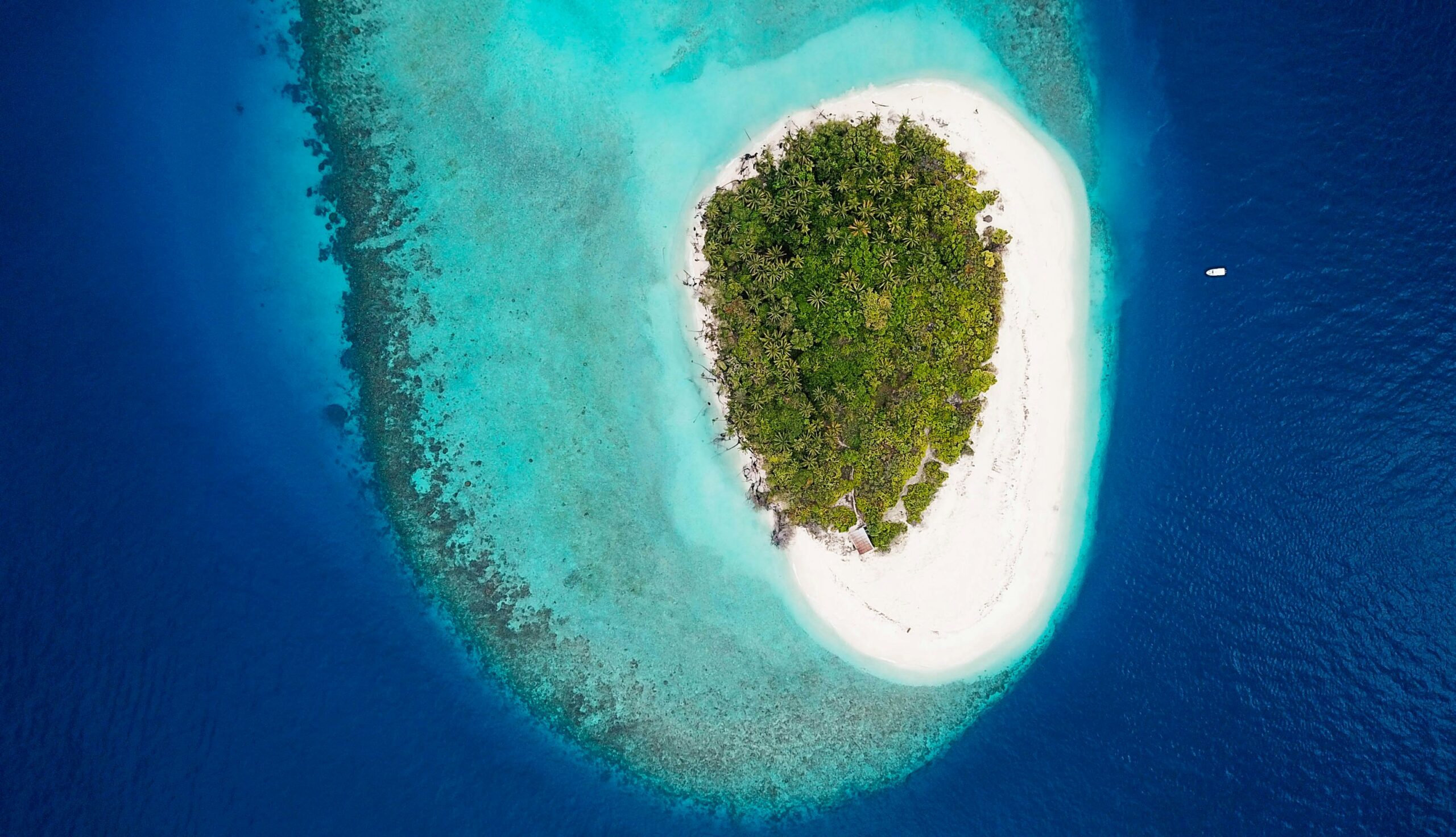A new Indigenous-led reserve across Melanesian seas now protects critical marine ecosystems. Spearheaded by local communities with government support, it preserves fish nurseries and biodiversity—offering a sustainable path for people and ocean alike.