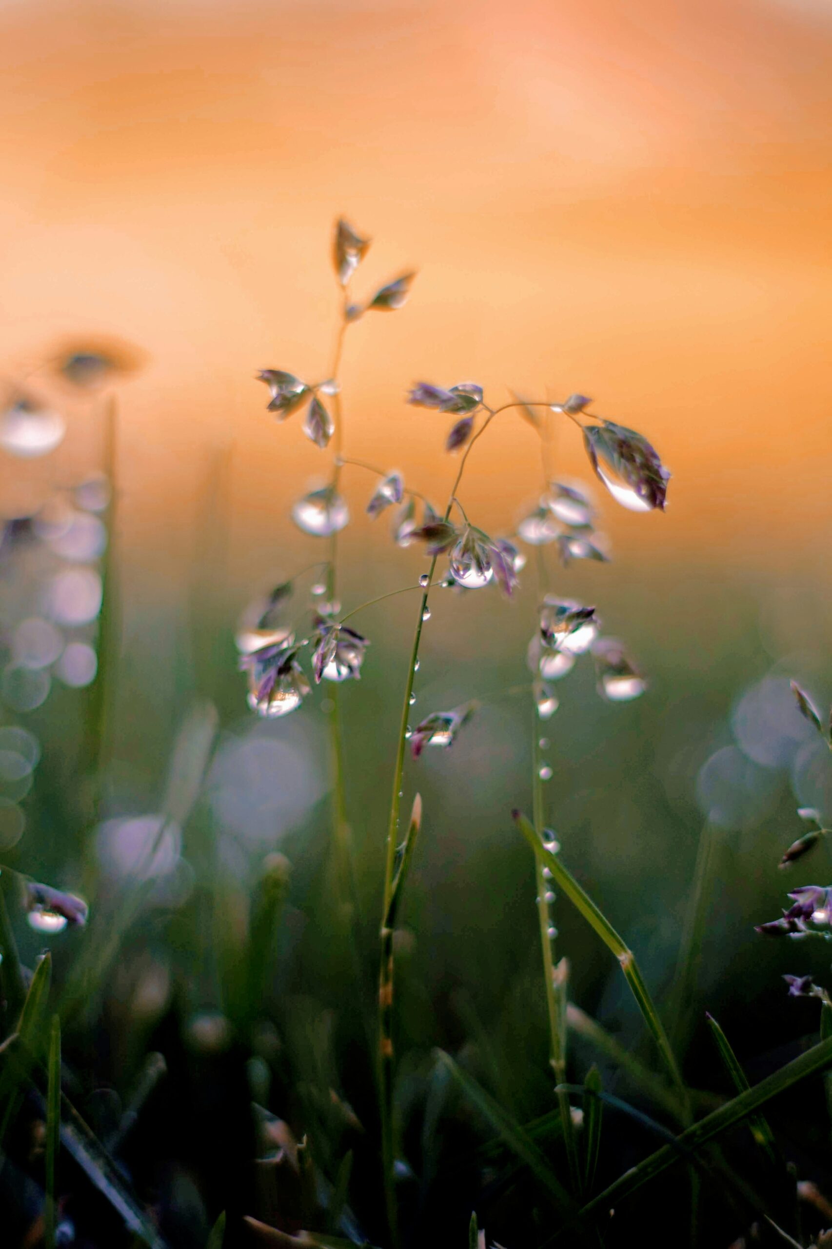 Researchers at the Hefei Institute have developed a solar-powered device that extracts humidity from the air to generate green hydrogen. Operating without external water or energy, the system works even in dry climates and delivers high output with zero carbon emissions.