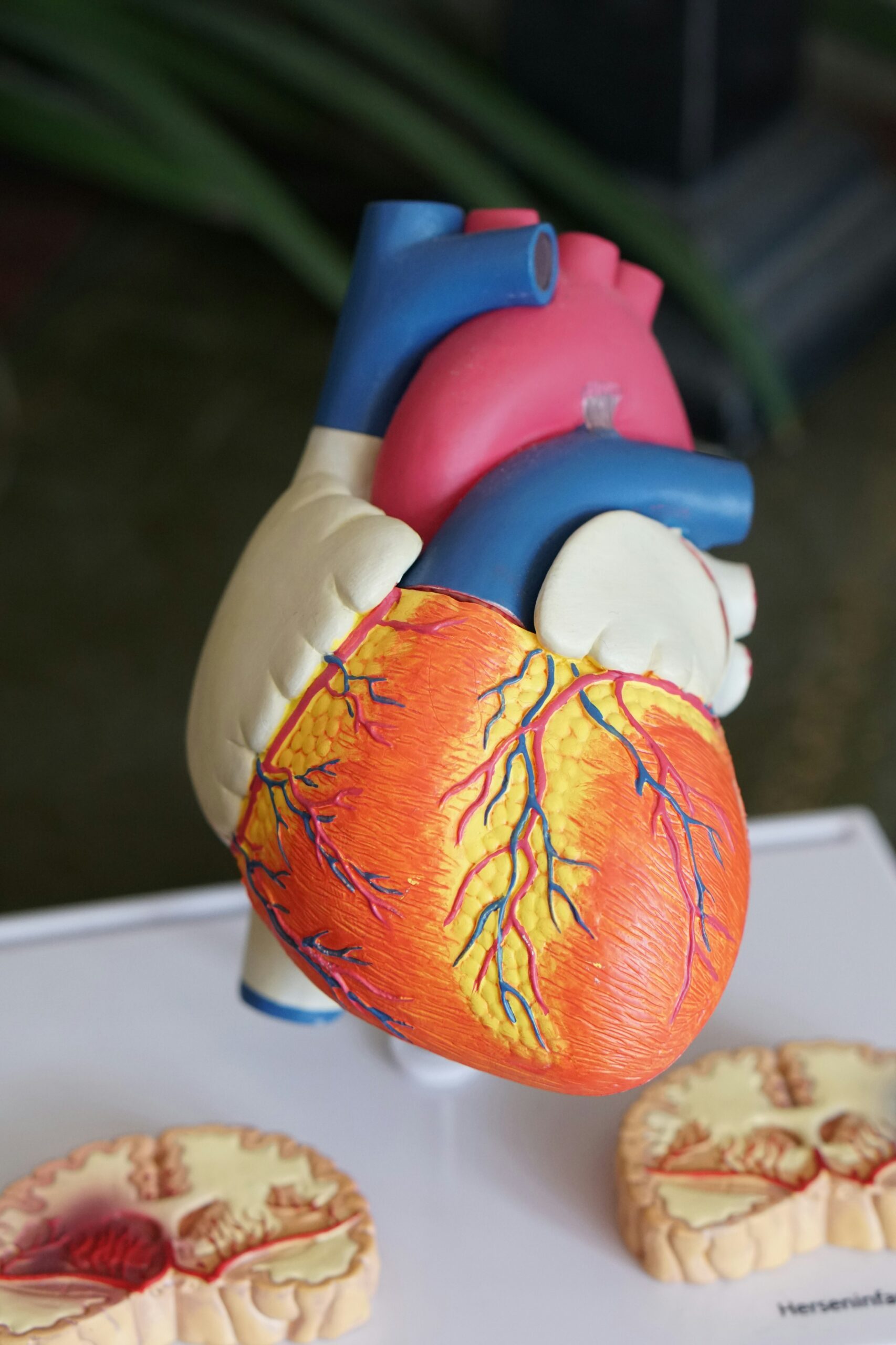 Some people produce a cholesterol-like particle that promotes the build-up of fatty plaques in arteries - a condition that can't be improved by diet and exercise, and can double the risk of heart disease. In a small trial, a single dose of a new drug drove levels down by 94% within weeks.