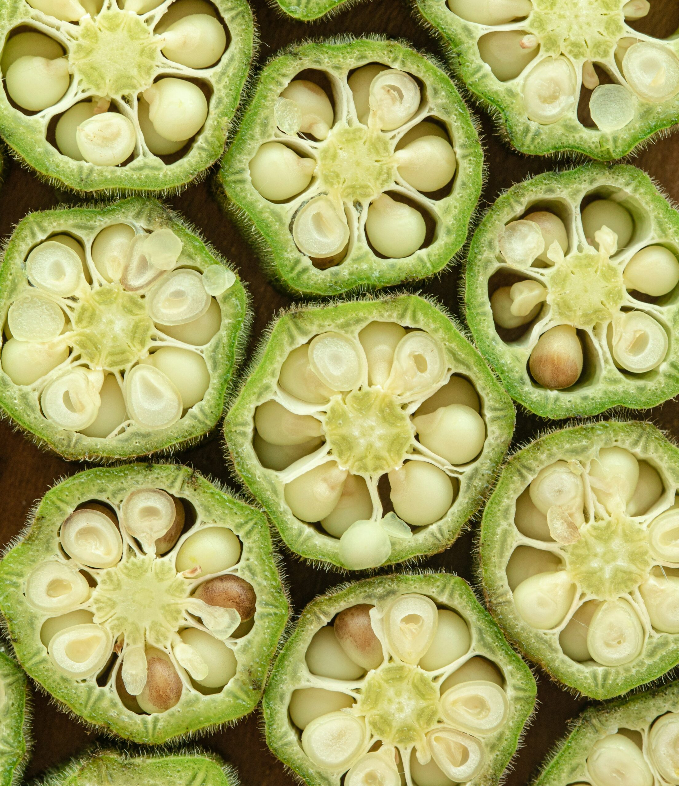 Researchers discovered that okra pulp efficiently captures microplastics from wastewater—up to 95% removal in lab tests. This low-cost, plant-based method offers communities a safe, eco-friendly solution to tackle plastic pollution and protect aquatic ecosystems.