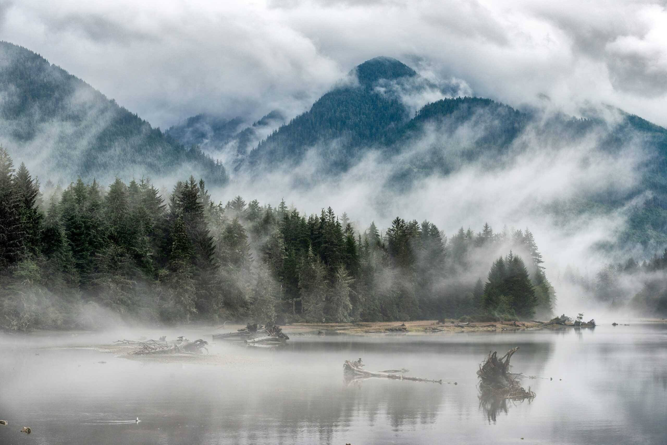 Canada has just established the Tang.ɢ̱wan–ḥačxʷiqak–Tsig̱is MPA, spanning 133,017 km²—larger than Vancouver Island. Co-managed with First Nations, this deep‑sea sanctuary shields rare hydrothermal vents, biodiversity hotspots and seabed ecosystems in a new era of marine stewardship.
