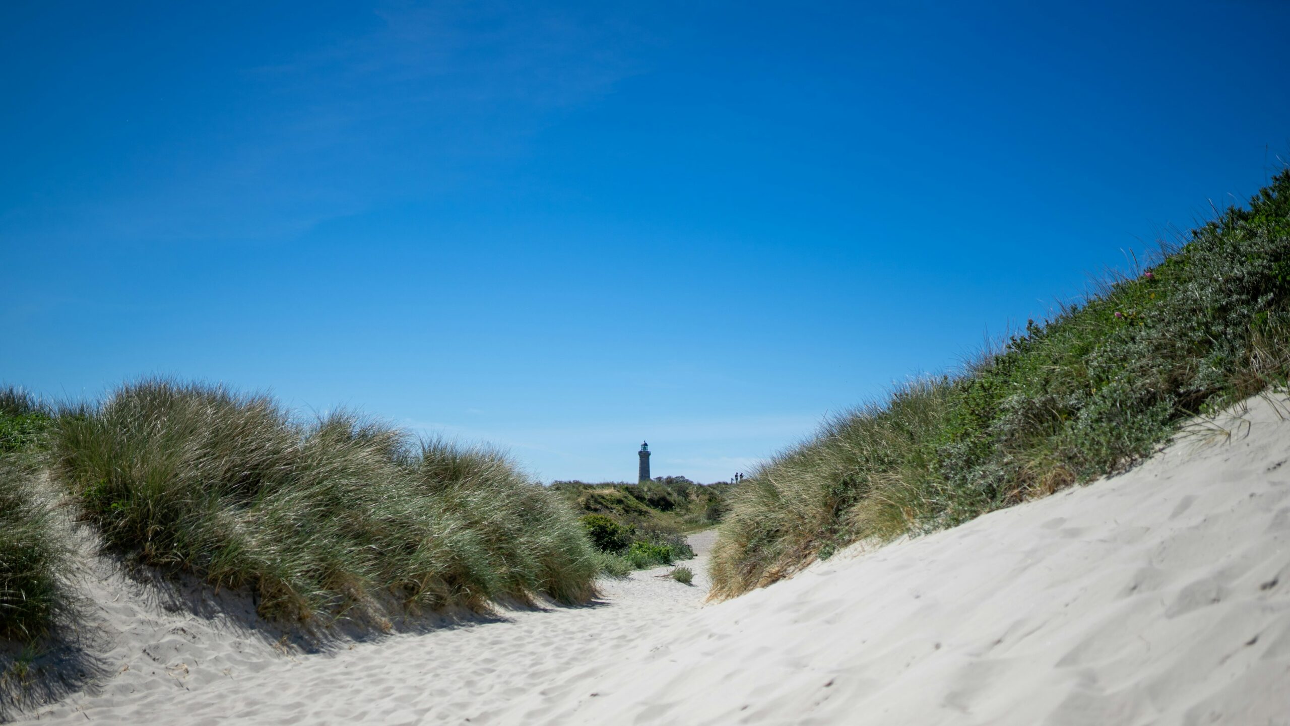 Just a 30-minute boat ride from Copenhagen, Denmark’s Youth Island offers students a refreshing retreat away from city distractions. With shared dorms, study sessions, sauna dips, communal meals, and nature breaks, participants form study pods that help reduce stress and boost concentration.