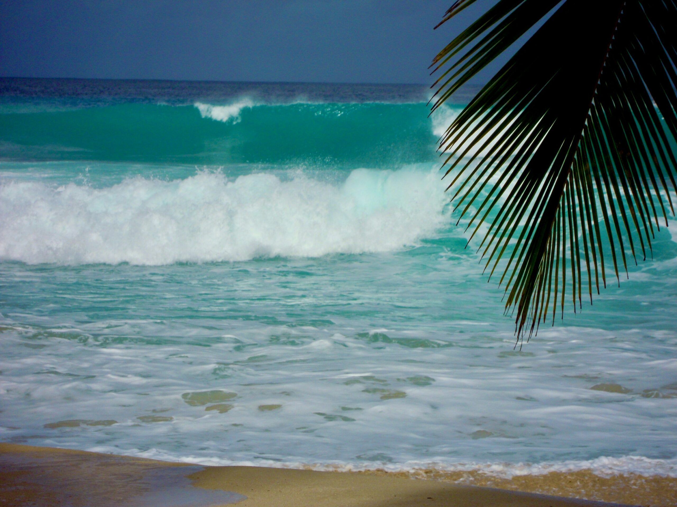 Barbados has completed the world’s first debt-for-climate swap and secured USD 165 million to fund climate-resilient infrastructure like improving water systems, food security, and environmental protection.