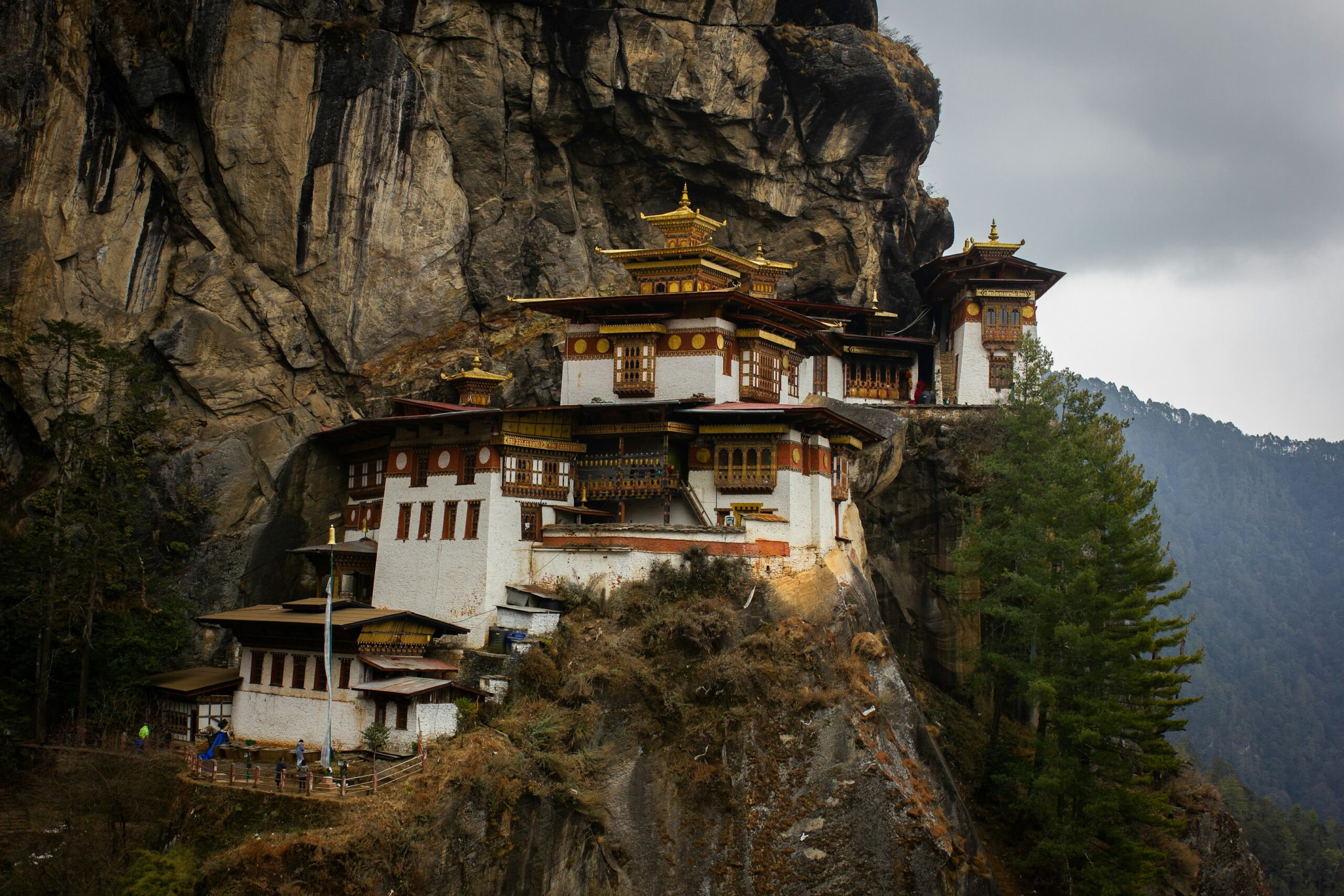 With 70% forest cover, clean hydropower, solar expansion, and a constitution that protects nature, Bhutan absorbs 7,000 tons more CO₂ than it emits. Guided by Gross National Happiness, it unites culture and care for the planet—showing prosperity can thrive in harmony with nature.