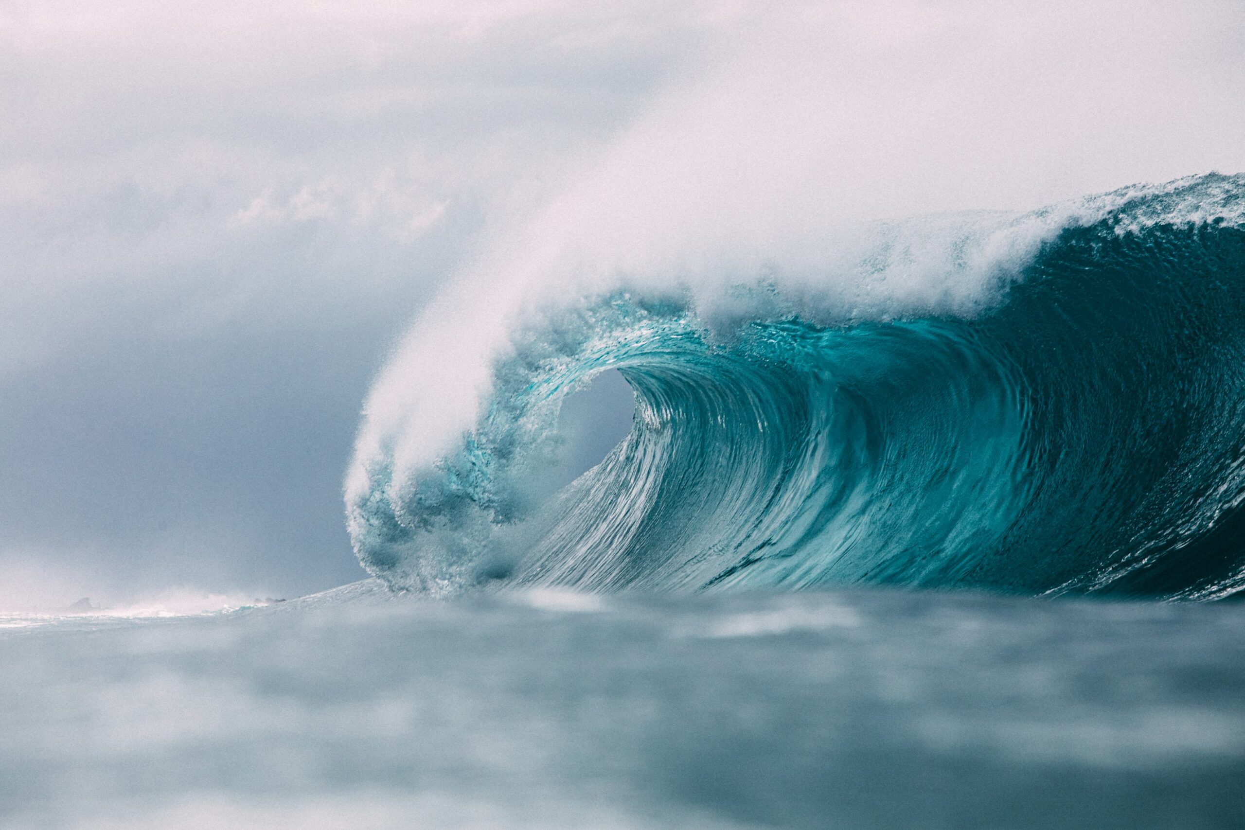 The annual, global ocean conservation conference titled "Our Ocean, Our Action" took place from April 28th to April 30th in South Korea, with leaders from across the globe committing 9.1 billion to ocean conservation and restoration efforts.