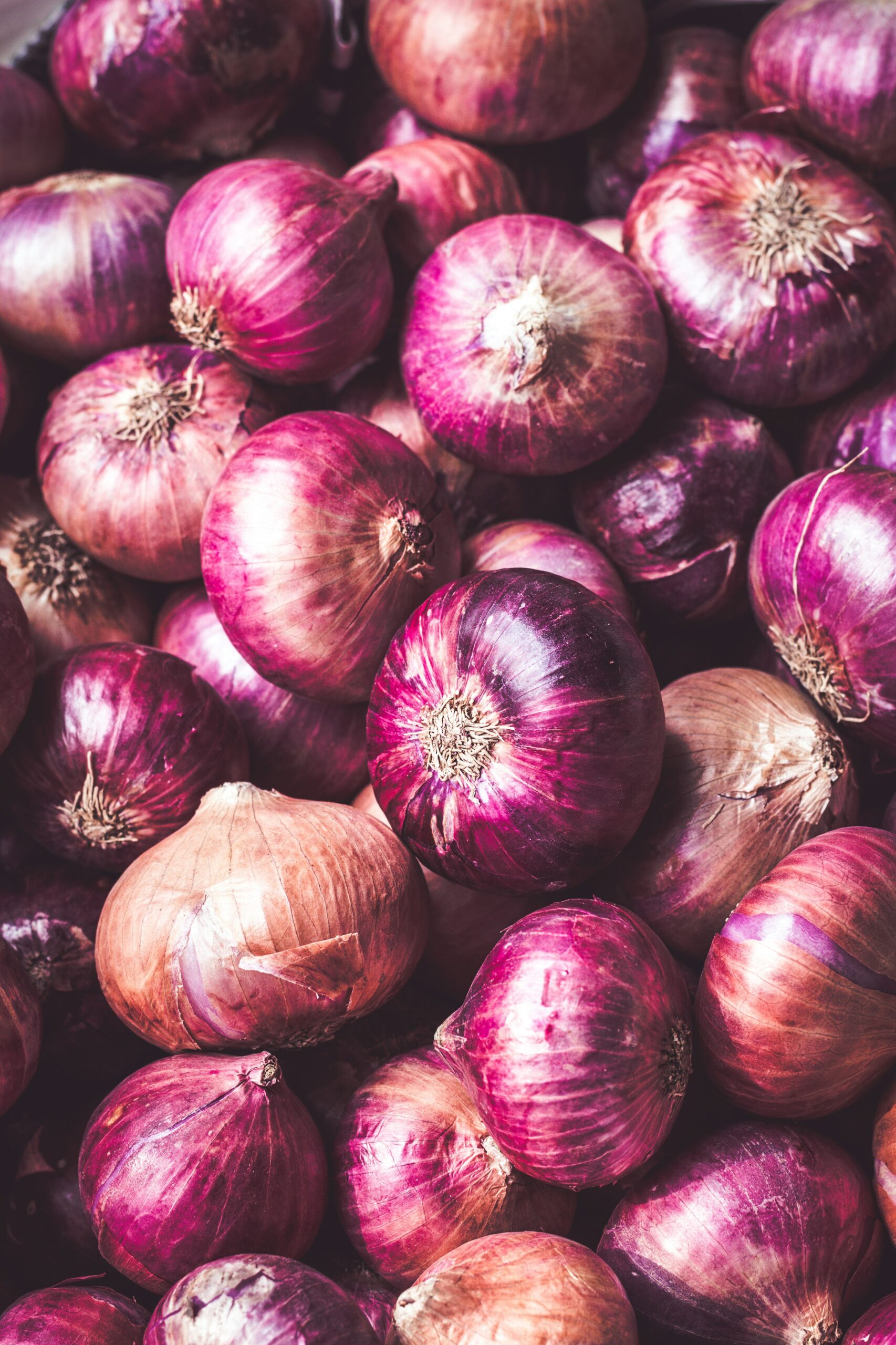 Finnish researchers created a biodegradable UV-filter from red onion dyes and nanocellulose that blocks 99.9% of harmful UV light and lets through 80% of useful sunshine. It outlasted petroleum-based plastics—ups solar tech and honors Earth’s materials.
