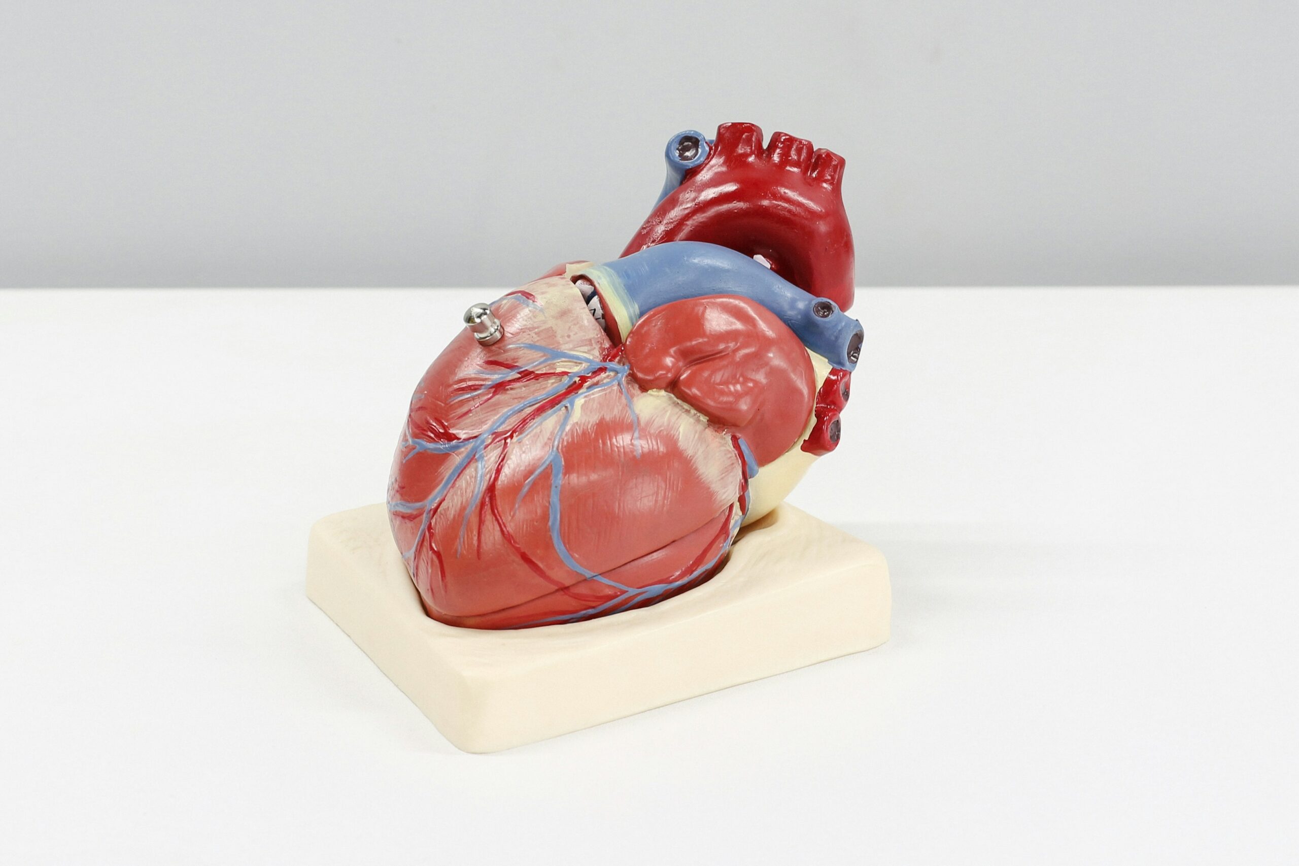 A new frontier in biotech merges living tissue with electronics to create smart biohybrid organs. These platforms can monitor, respond to, and even self-regulate biological functions, paving the way for more adaptive, personalized treatments and advanced medical technologies.