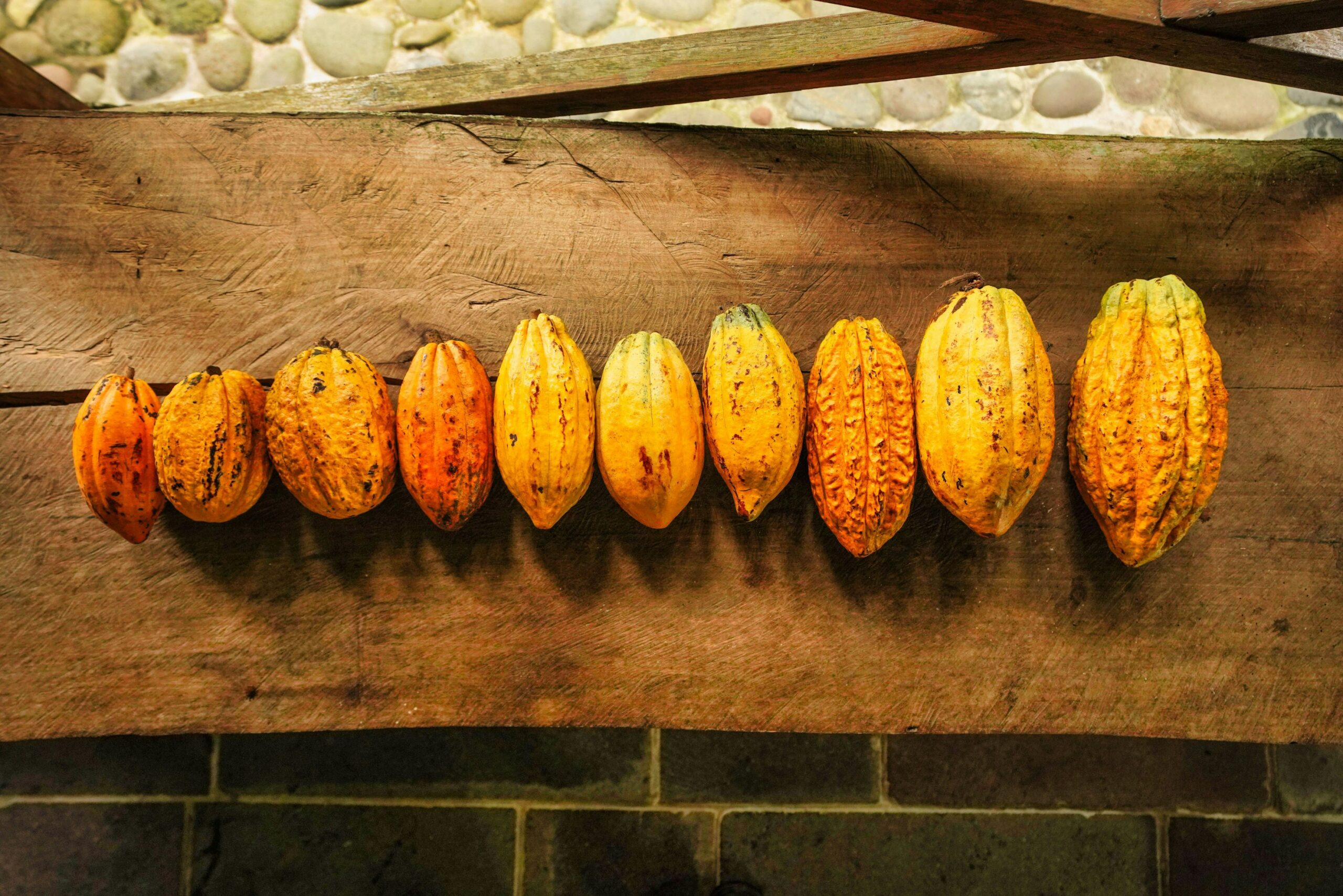 A new framework signed by key stakeholders in the region aims to eliminate child labor in West Africa’s cocoa production. Côte d’Ivoire, Ghana, and the cocoa industry have pledged to improve education, social services, and community welfare.