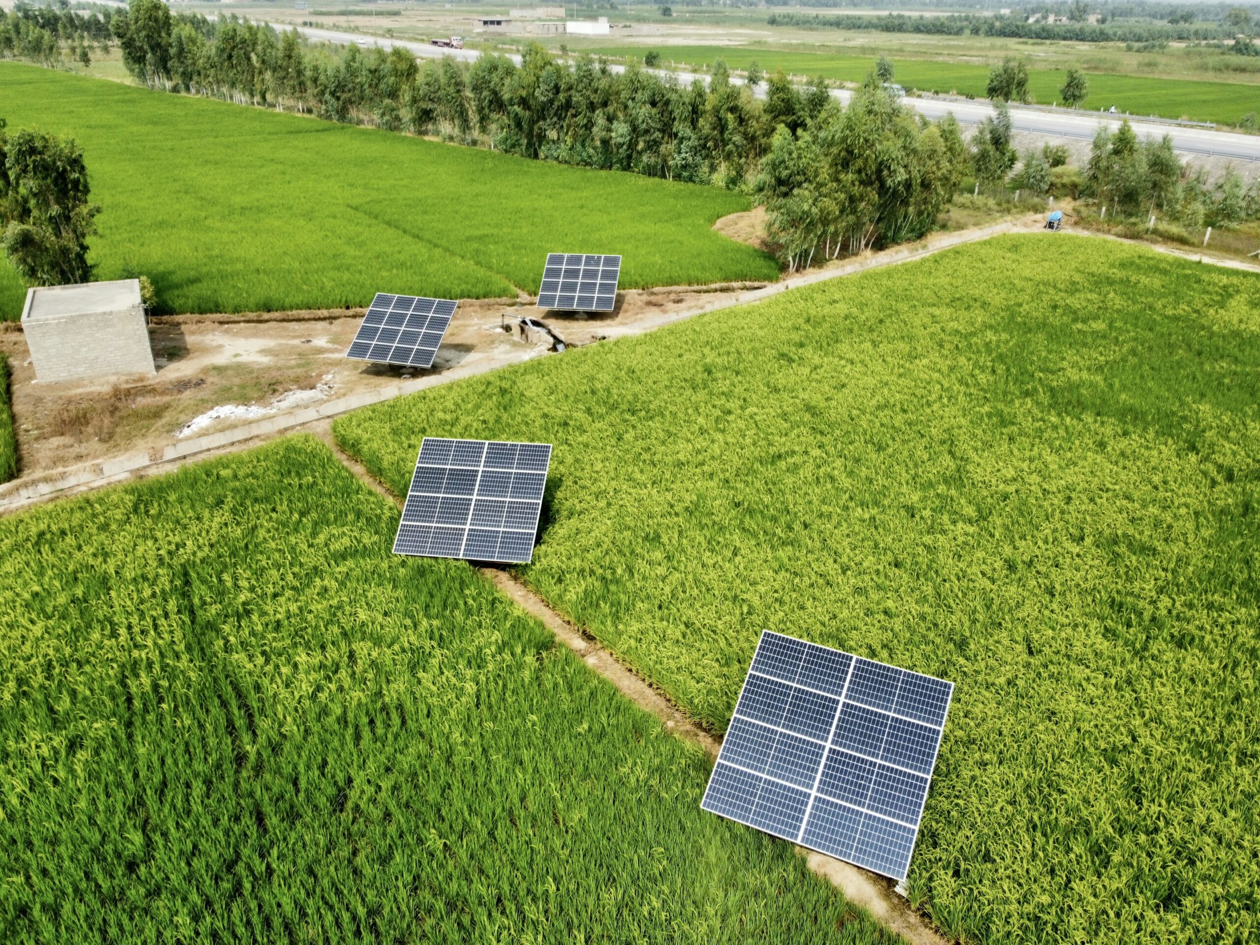 Nearly half of the world's climate experts believe that China's carbon emissions have already peaked or will peak this year, thanks to rapid advancements and massive investments in renewable energy and clean technologies.