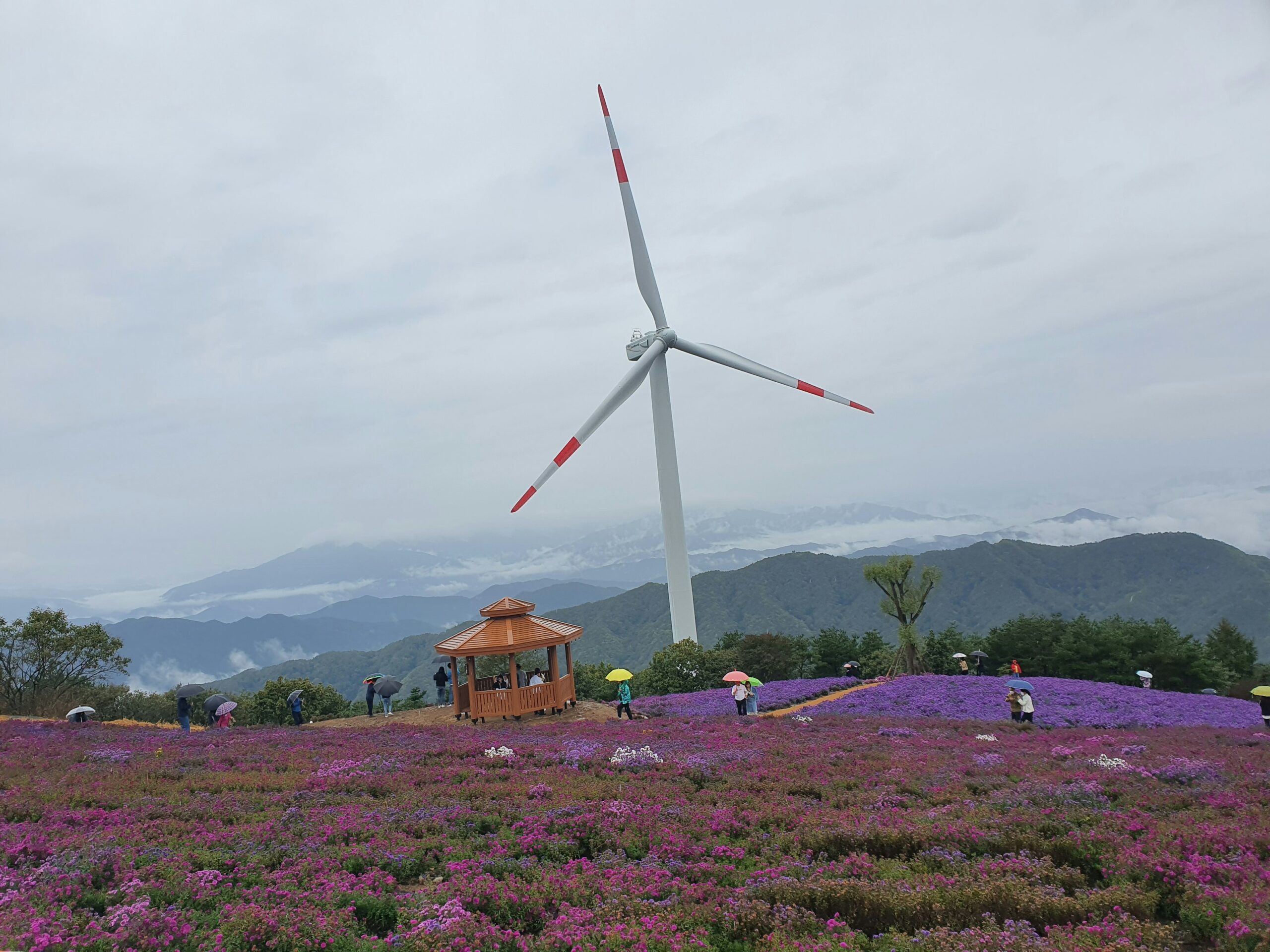 In May alone, China added 93 GW of solar and 26 GW of wind—enough electricity to power entire nations like Poland or Sweden. Solar capacity now tops 1,000 GW—half the world’s total. Ambitious clean energy growth continues despite financial strains on manufacturers.