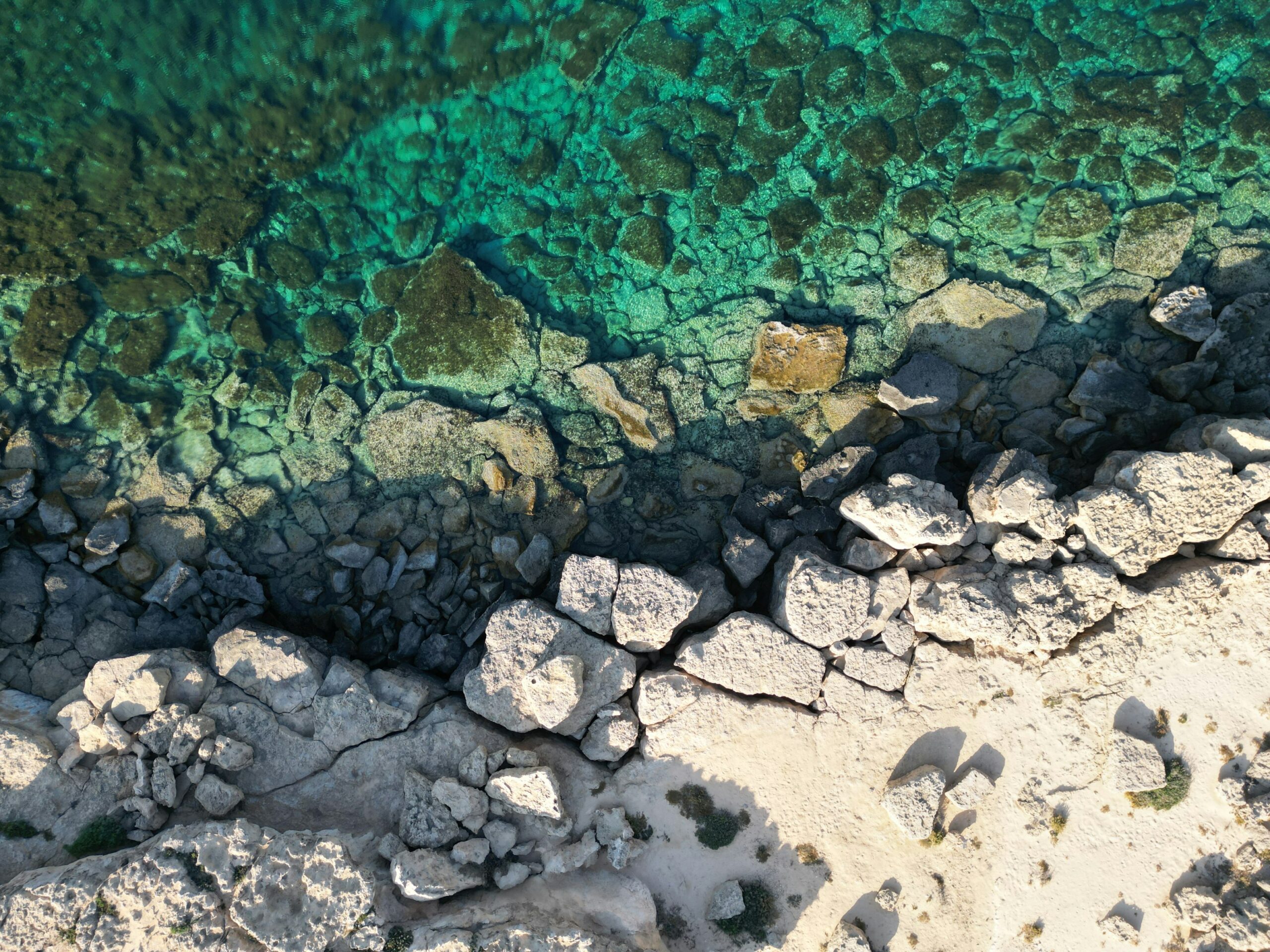 A first-ever study mapped mesophotic zones (50–200 m deep) in Cyprus, uncovering over 200 species, including corals and sea pens never recorded there before. This baseline empowers action to protect fragile reefs and influence conservation policy for a richer future.