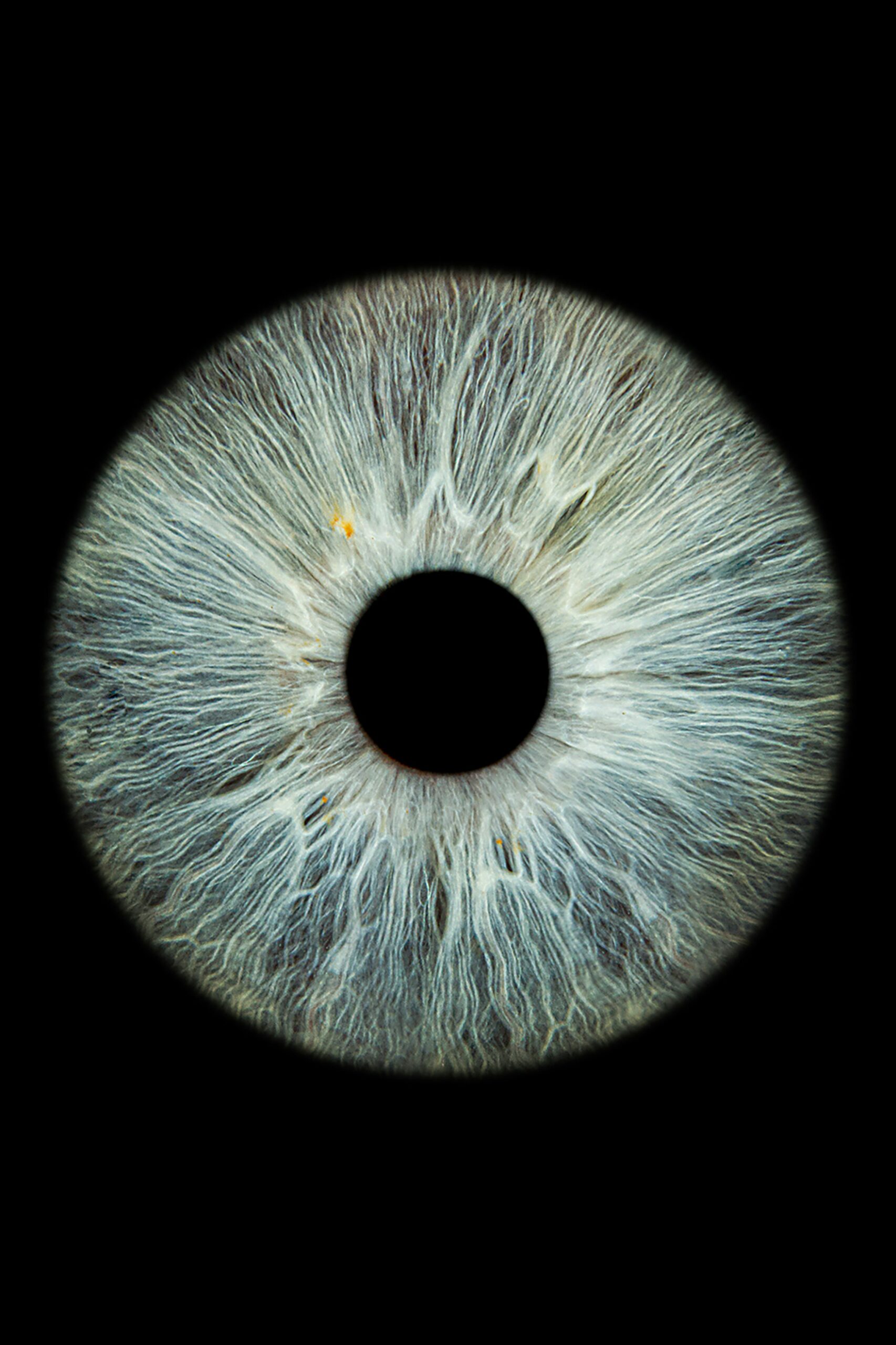 Scientists report that adult stem cells may help repair damage from age-related macular degeneration, the leading cause of vision loss. This breakthrough points to new therapies that could restore sight and improve quality of life for millions worldwide.