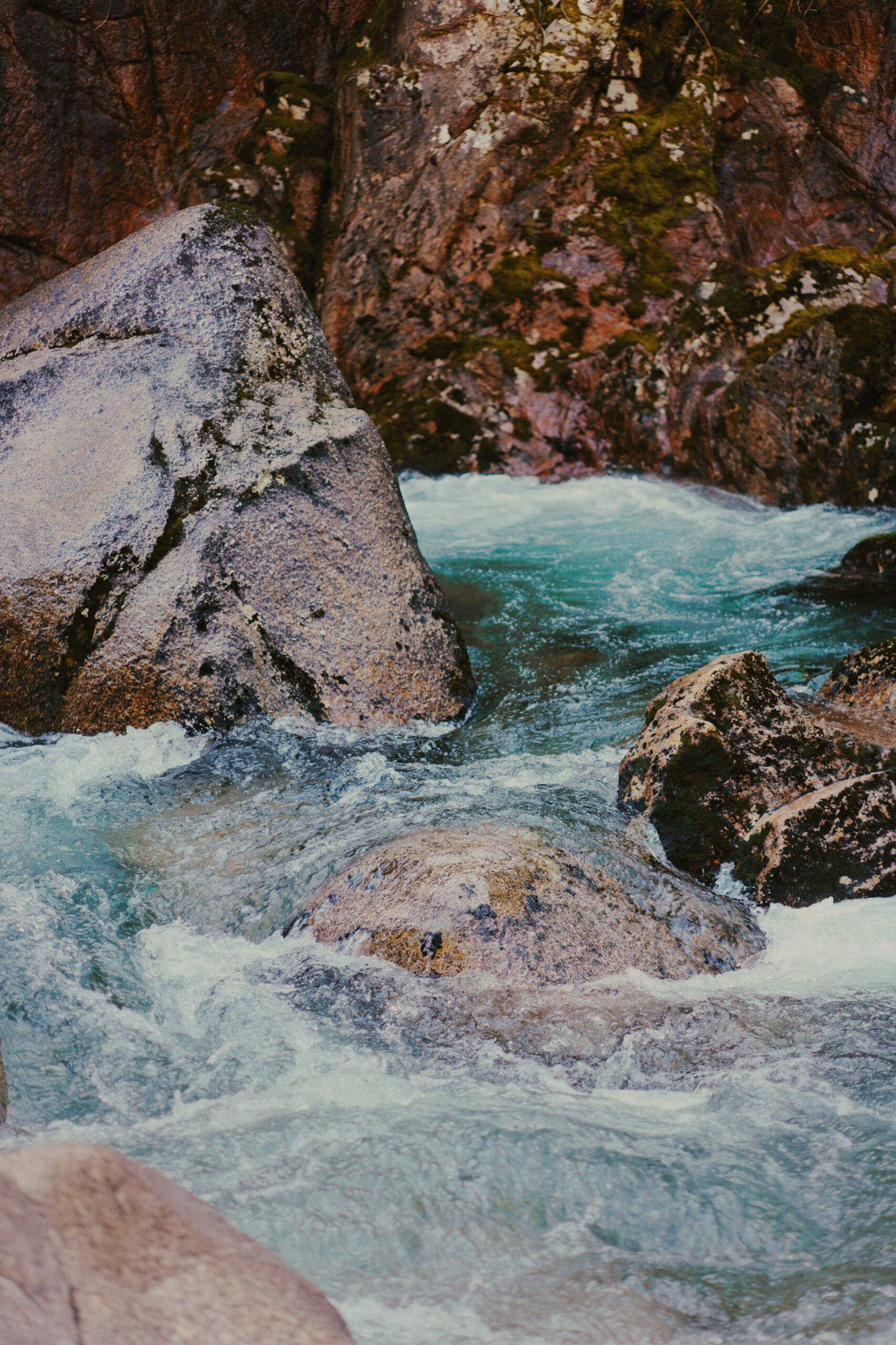 In Northern California, the Yurok reclaimed 47,000 acres around Blue Creek—making it a tribal forest and salmon sanctuary. The largest-ever land-back transfer in the state supports habitat restoration, controlled burns, invasive species removal, and boosts salmon runs and biodiversity.