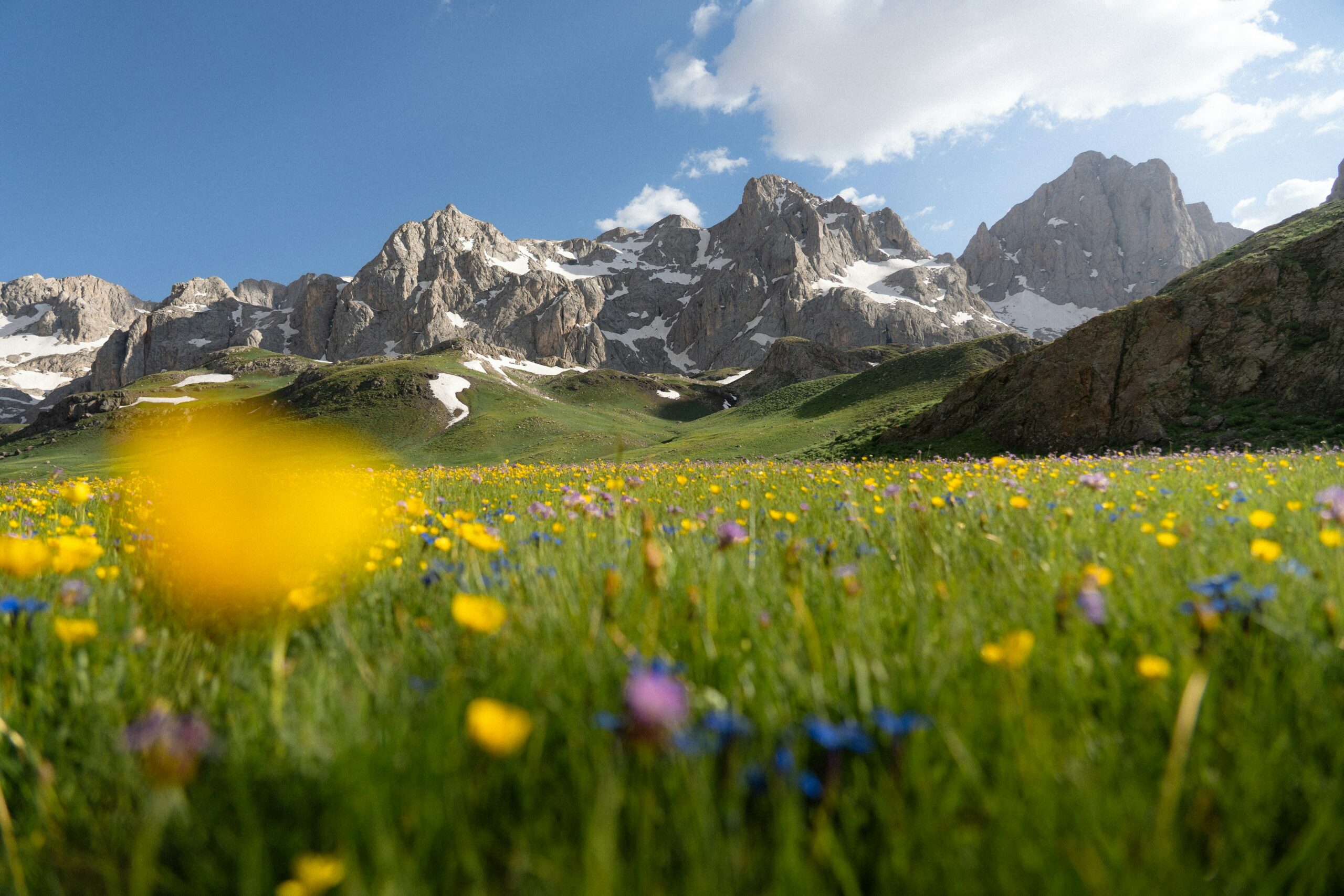 In the Swiss Alps, refugees from Afghanistan, Iran, Ukraine, and more find healing through Peaks4All's climbs. They climb mountains together, backed by volunteers and guides—discovering inner strength, community, and calm where borders fade and hope grows.