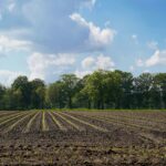 Soil holds over 2,800 gigatonnes of carbon in the top metre — 45% more than previously thought. A new report shows healthy soil could sequester up to 27% of the emissions needed to meet Paris goals. Yet 70% of nations still overlook soil in their climate plans.