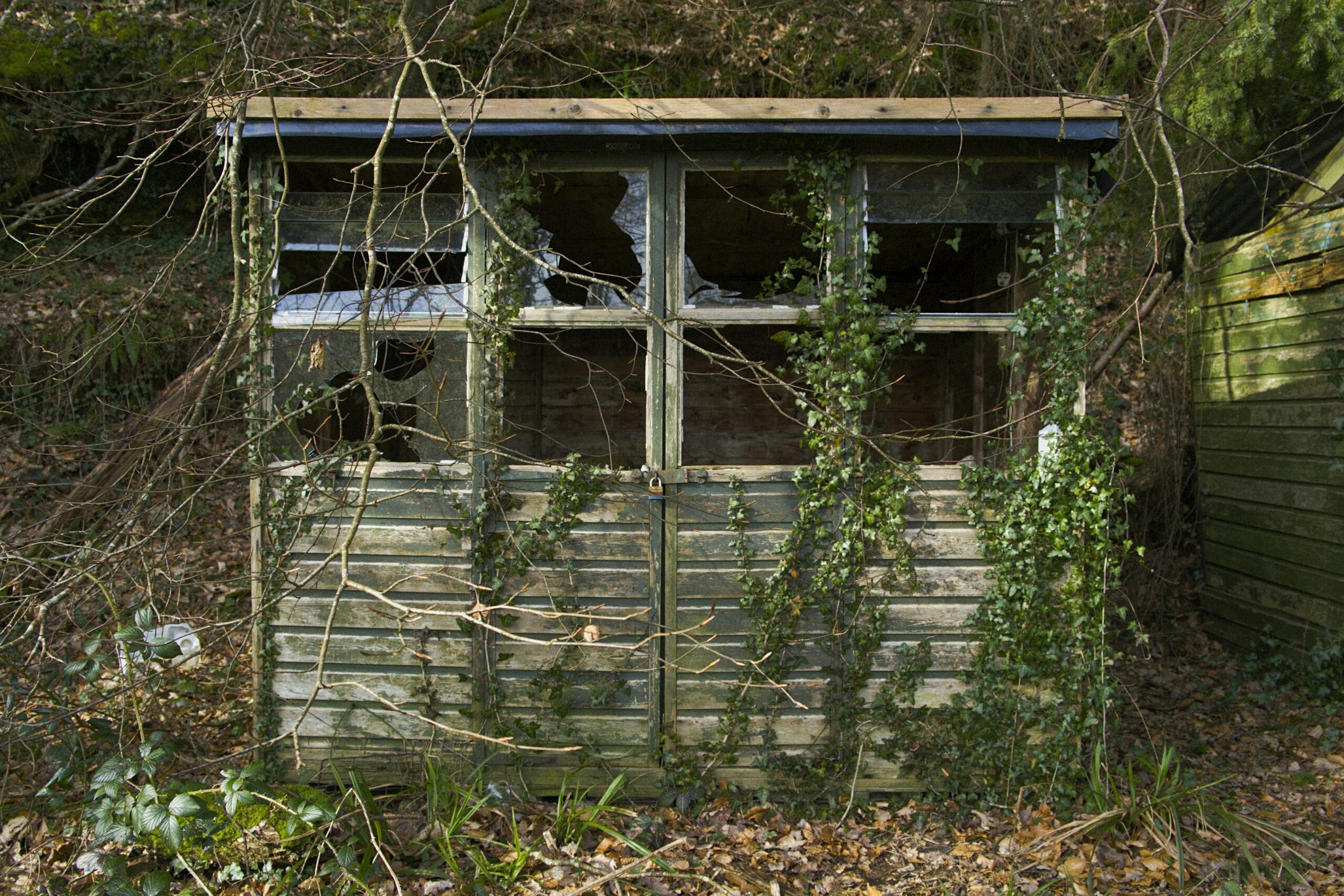 An Essex couple trialled a HeatHub—a mini data-centre in their garden shed with over 500 computers—to heat their home while moving from gas boiler to solar setup. Their monthly bills dropped from about £375 to just £40-£60, blending innovation with home comfort.
