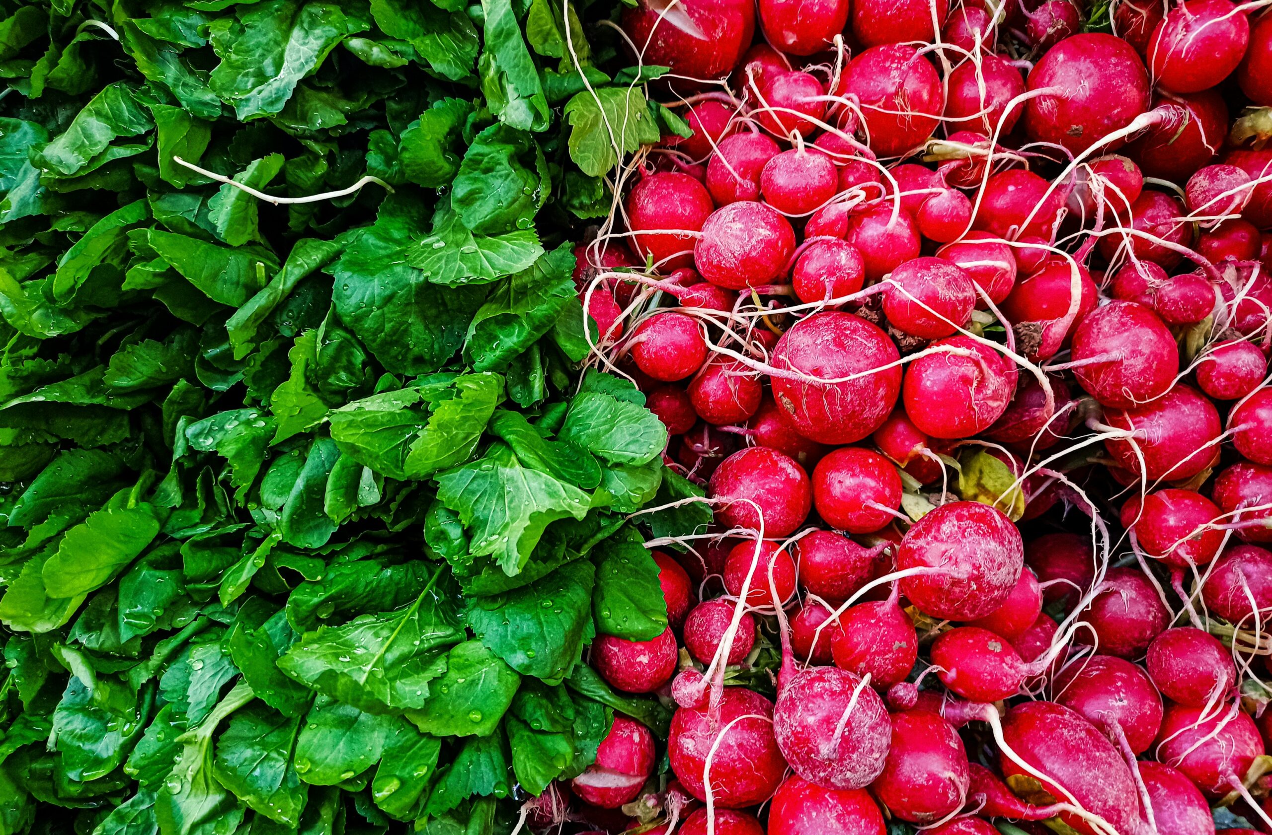 A large study shows that eating fewer animal-based foods and more plants can reduce an individual’s food-related carbon footprint by around 40-60% compared with high-meat eating patterns. It proves that you don’t have to be radical—every step toward plants counts.