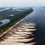 In a historic triumph for nature, Indigenous Tapajós defenders in Brazil have defeated the biggest privately owned company of the USA by occupying their grain terminal, forcing the Brazilian government to make a U-turn on plans to privatise one of the world’s most beautiful waterways,