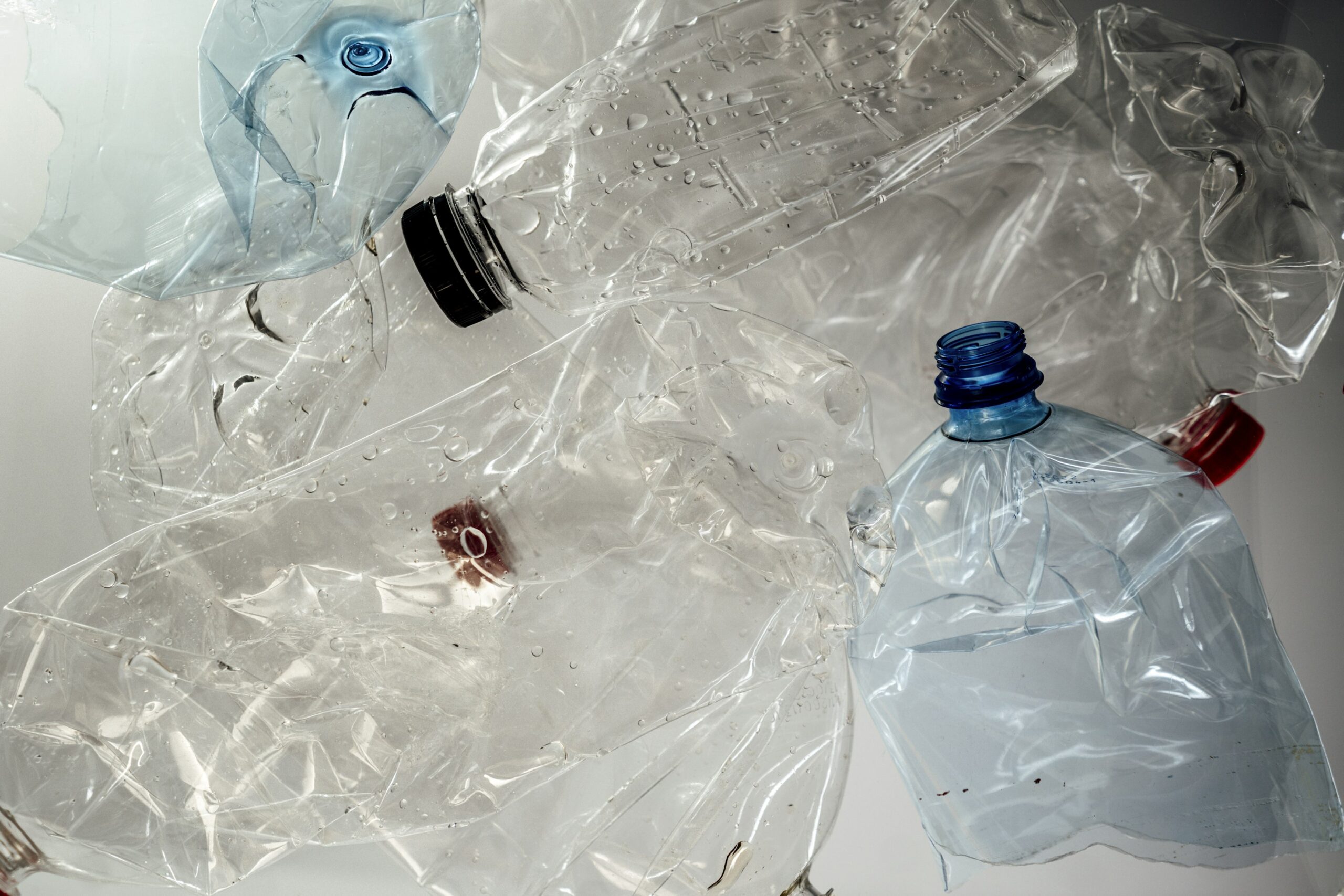 Scientists at the University of Edinburgh in Scotland have found a way to transform discarded plastic bottles into L-DOPA, one of the most widely used medicines for Parkinson’s disease. Using engineered E. coli bacteria, they converted PET plastic into the drug through a biological process—turning waste into a valuable resource for sustainable medicine production.