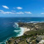 Wildlife photographers Monique and Chris Fallows identified 372 individual humpback whales off South Africa's west coast over just two days last December — most of them never photographed before. Southern Hemisphere populations have grown by up to 12% per year since the whaling moratorium. Scientists say: "This is a population rebounding."